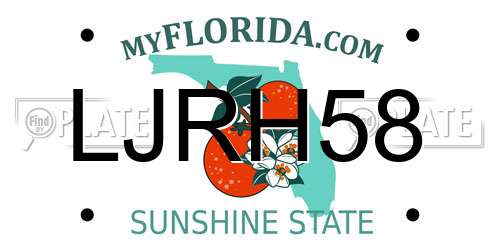 LJRH58 Florida License Plate