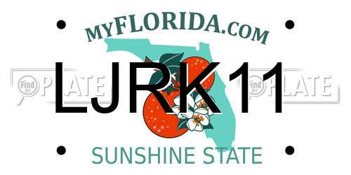 LJRK11 Florida License Plate