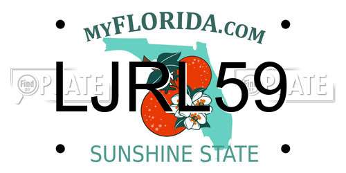 LJRL59 Florida License Plate