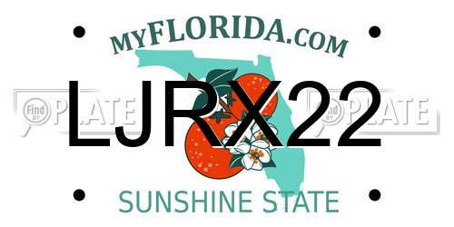 LJRX22 Florida License Plate