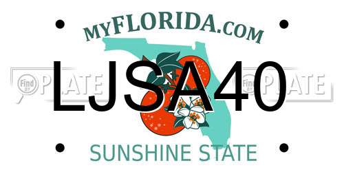 LJSA40 Florida License Plate
