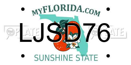 LJSD76 Florida License Plate