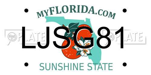 LJSG81 Florida License Plate