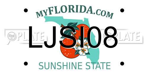 LJSI08 Florida License Plate