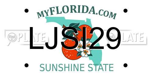LJSI29 Florida License Plate