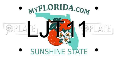 LJT11 Florida License Plate