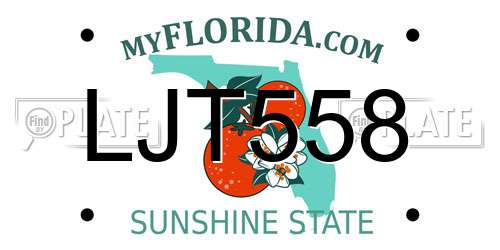 LJT558 Florida License Plate