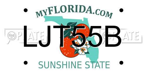 LJT55B Florida License Plate