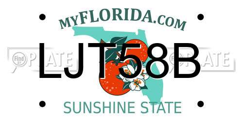 LJT58B Florida License Plate