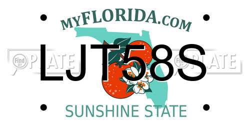 LJT58S Florida License Plate