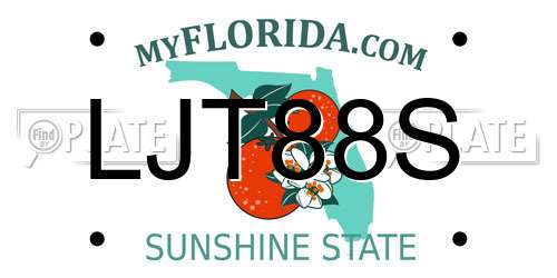 LJT88S Florida License Plate