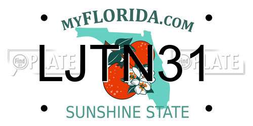 LJTN31 Florida License Plate