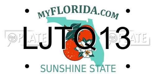 LJTQ13 Florida License Plate