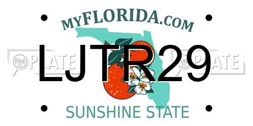 LJTR29 Florida License Plate