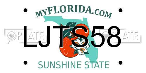LJTS58 Florida License Plate