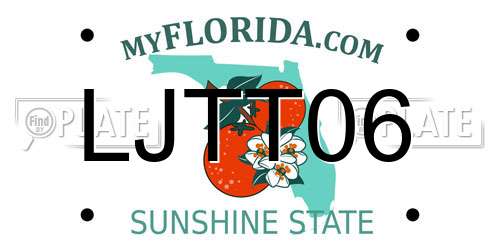 LJTT06 Florida License Plate