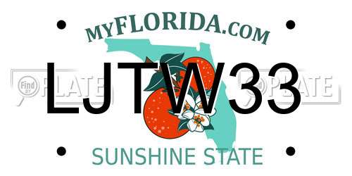 LJTW33 Florida License Plate