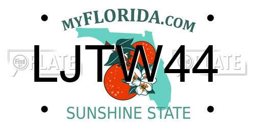 LJTW44 Florida License Plate