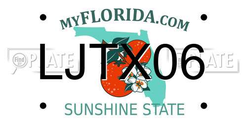 LJTX06 Florida License Plate