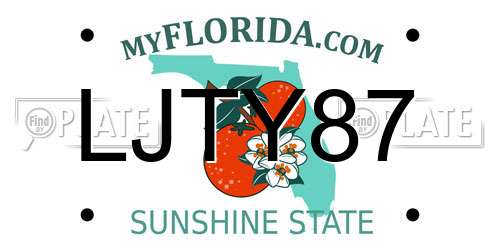 LJTY87 Florida License Plate