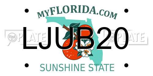 LJUB20 Florida License Plate