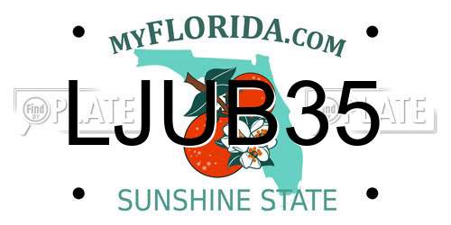 LJUB35 Florida License Plate