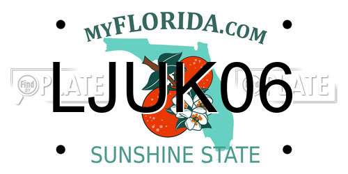 LJUK06 Florida License Plate