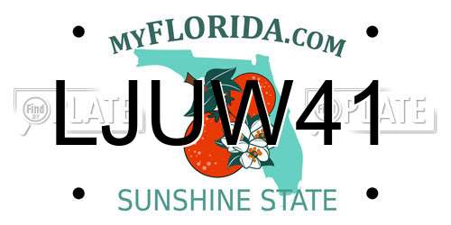 LJUW41 Florida License Plate