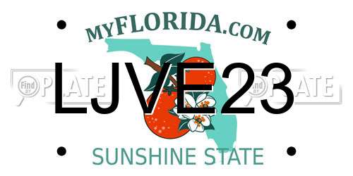 LJVE23 Florida License Plate