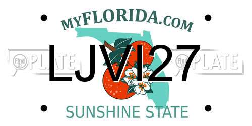 LJVI27 Florida License Plate