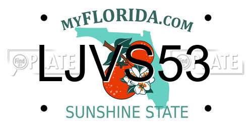 LJVS53 Florida License Plate