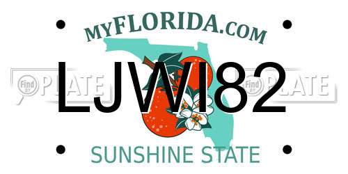 LJWI82 Florida License Plate