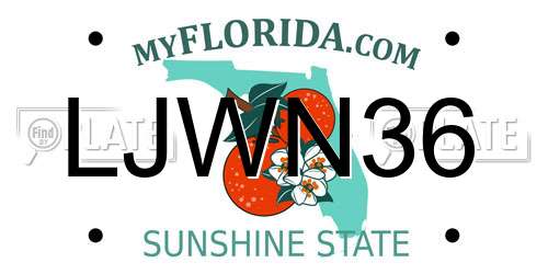LJWN36 Florida License Plate