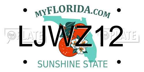 LJWZ12 Florida License Plate