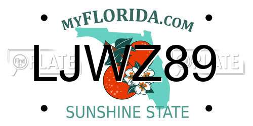 LJWZ89 Florida License Plate