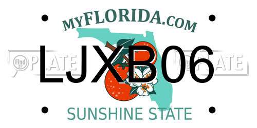 LJXB06 Florida License Plate