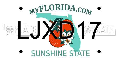 LJXD17 Florida License Plate