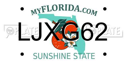 LJXG62 Florida License Plate