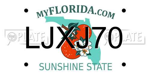 LJXJ70 Florida License Plate