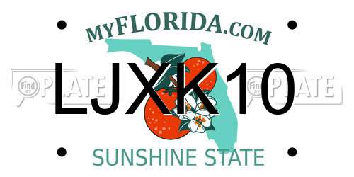 LJXK10 Florida License Plate