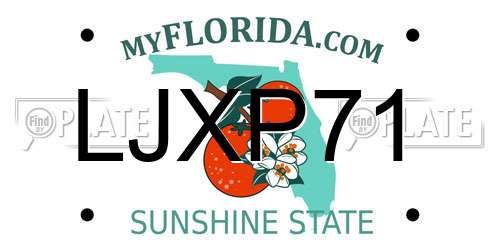 LJXP71 Florida License Plate