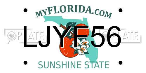 LJYF56 Florida License Plate