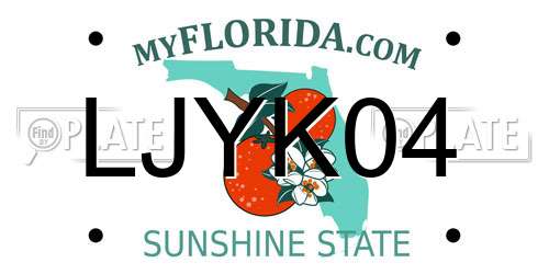 LJYK04 Florida License Plate