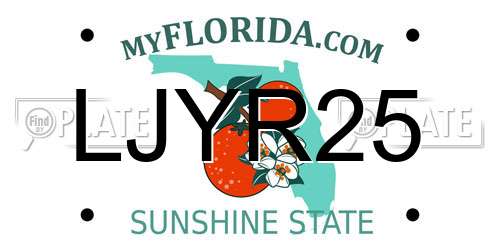 LJYR25 Florida License Plate