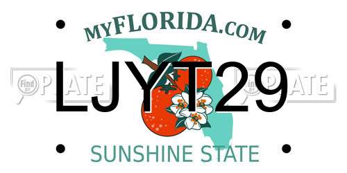 LJYT29 Florida License Plate