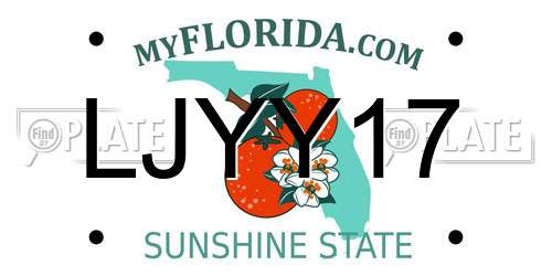 LJYY17 Florida License Plate