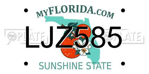 LJZ585 Florida License Plate