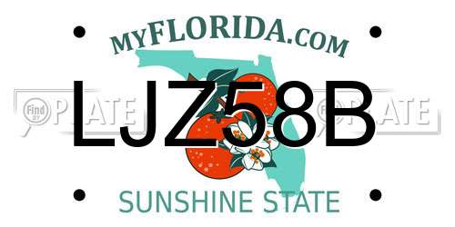 LJZ58B Florida License Plate