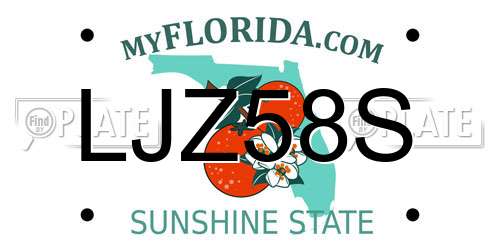 LJZ58S Florida License Plate