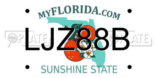 LJZ88B Florida License Plate